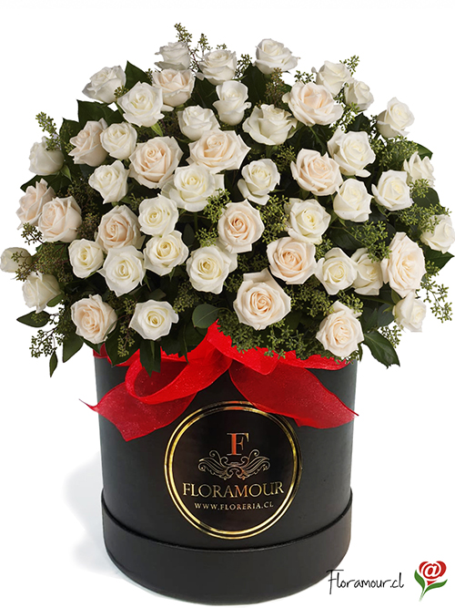 Esta caja de rosas es exclusiva de Florerí­as Floramour. Servicio de entrega en todas las comunas de la Región Metropolitana de Santiago. Seleccione el color de la rosas: